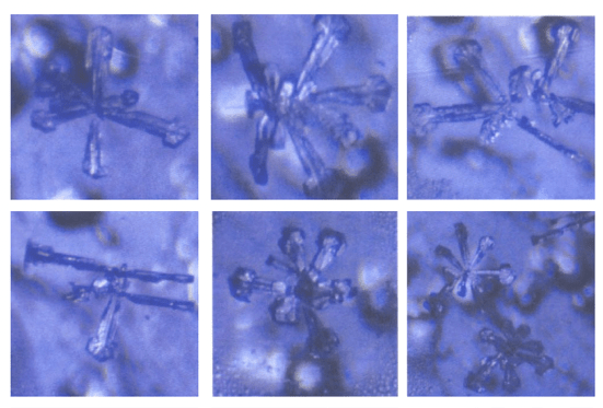 Bildschirmfoto 2025-07-29 um 16.39.07