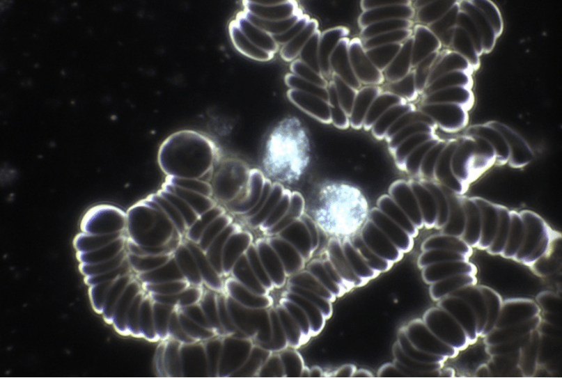 Bildschirmfoto 2025-07-29 um 16.42.40